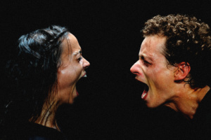 Compagnie7273_Creation 2009